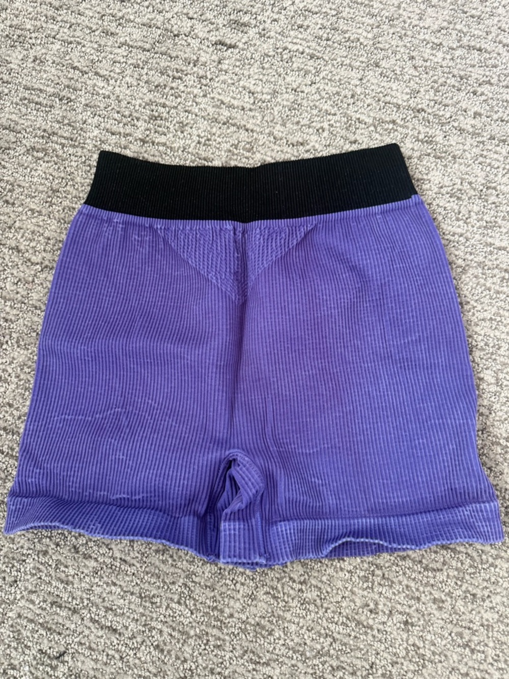 Free People Ribbed Purple Bike Shorts with Black Waistband